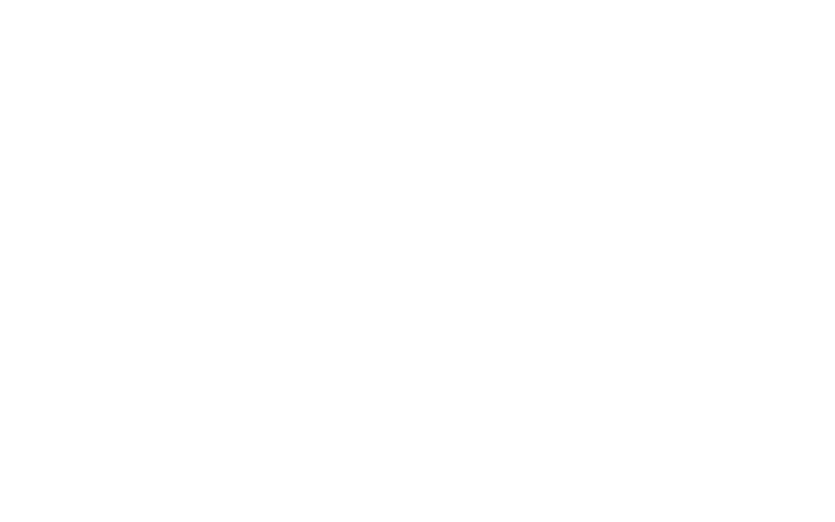 true-potential
