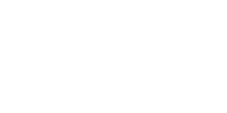 Pegasus