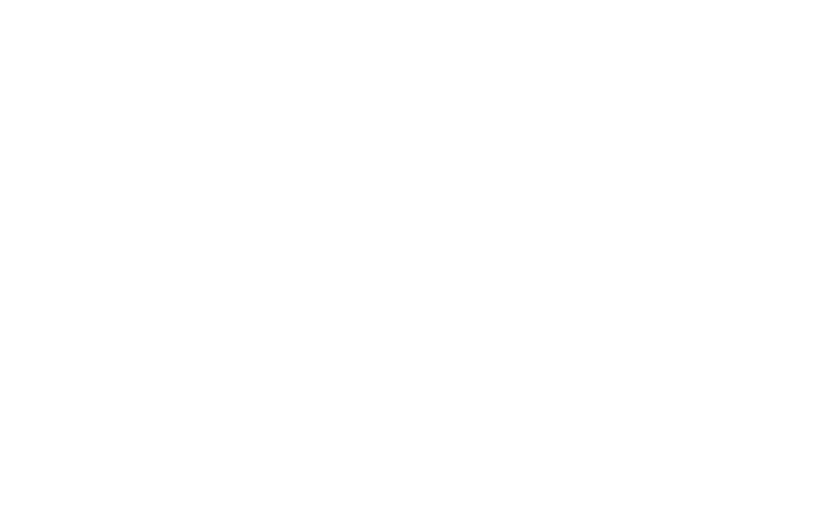 Logan Air