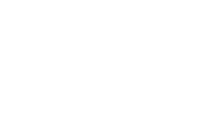 Truespeed