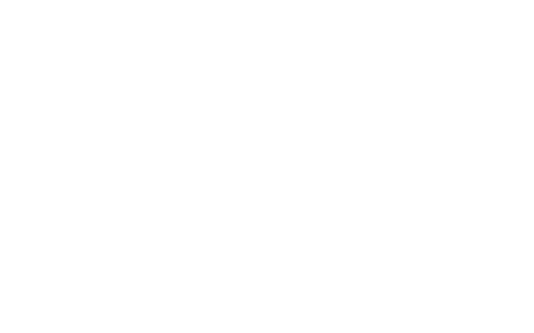 brsk